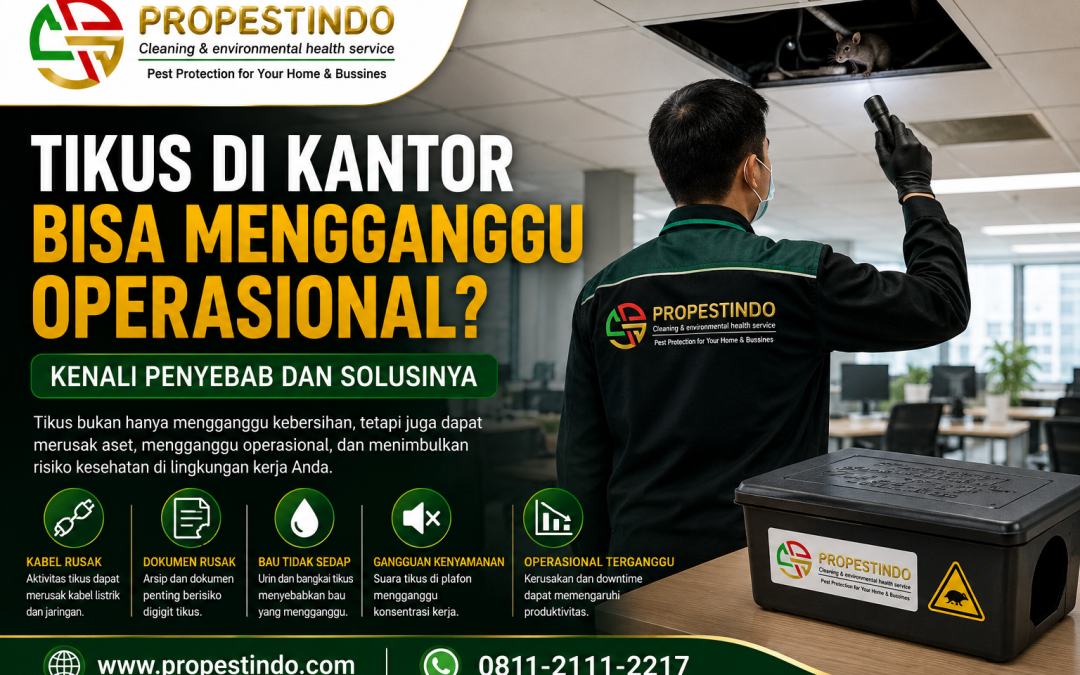 Tikus di Kantor Bisa Mengganggu Operasional. Kenali Penyebab dan Solusinya