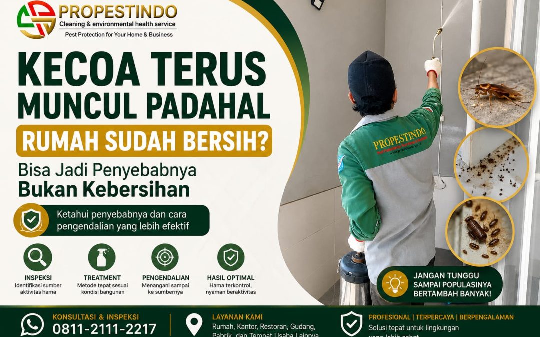 Kecoa Terus Muncul Padahal Rumah Sudah Bersih? Ini Penyebabnya