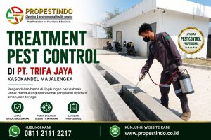Teknisi Propestindo melakukan treatment pest control di PT Trifa Jaya Kasokandel Majalengka