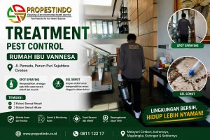 teknisi sedang melakukan pest kontrol di hunian