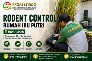 Teknisi Propestindo melakukan pemeriksaan rodent control pada area sekitar dinding rumah di Indramayu.