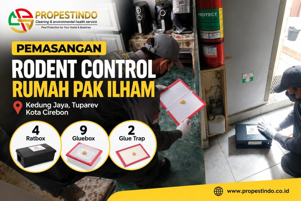 Pemasangan rodent control rumah Pak Ilham di Cirebon oleh Propestindo
