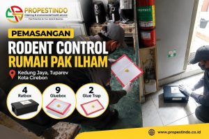 Pemasangan rodent control rumah Pak Ilham di Cirebon oleh Propestindo