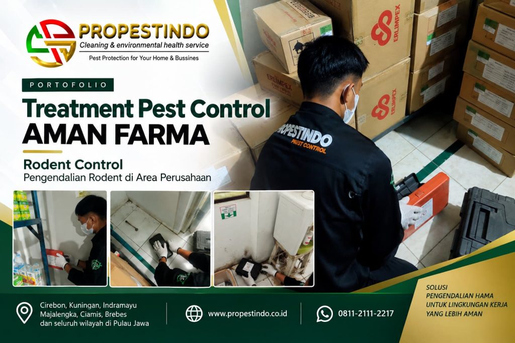 Treatment rodent control AMAN FARMA oleh tim Propestindo di Cirebon