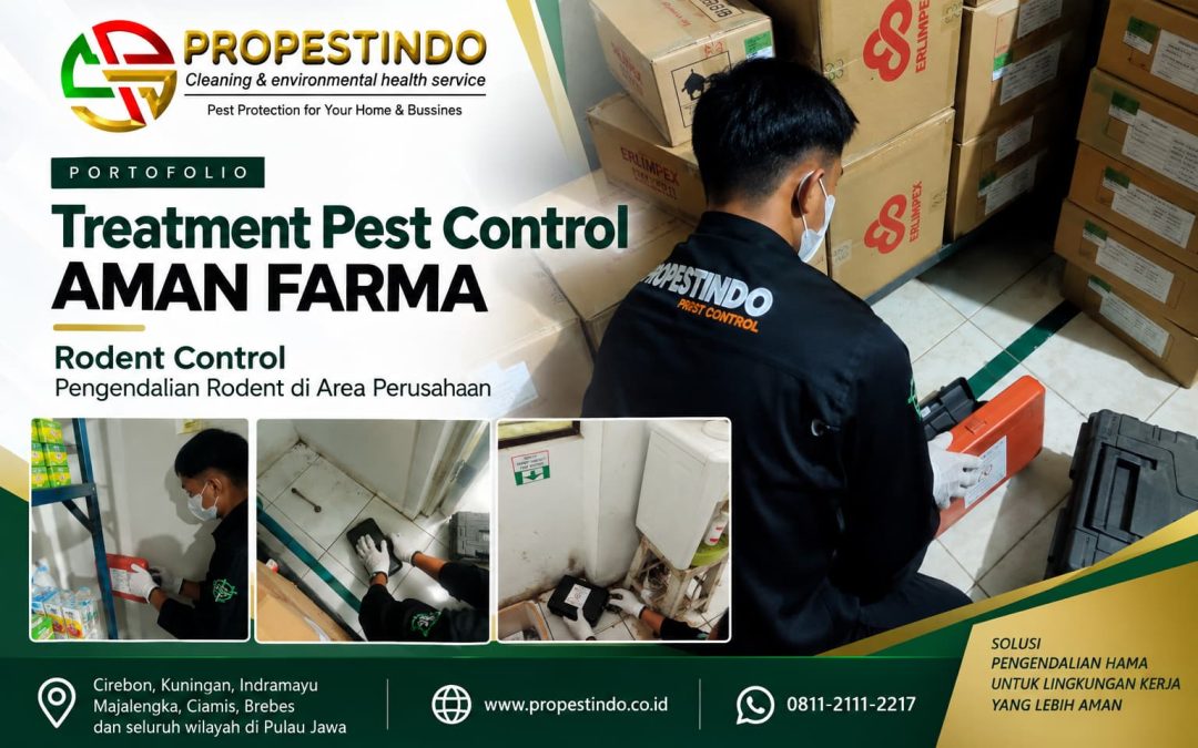 Treatment Pest Control AMAN FARMA: Rodent Control