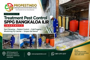 Treatment pest control SPPG Bangkaloa Ilir Indramayu oleh tim Propestindo
