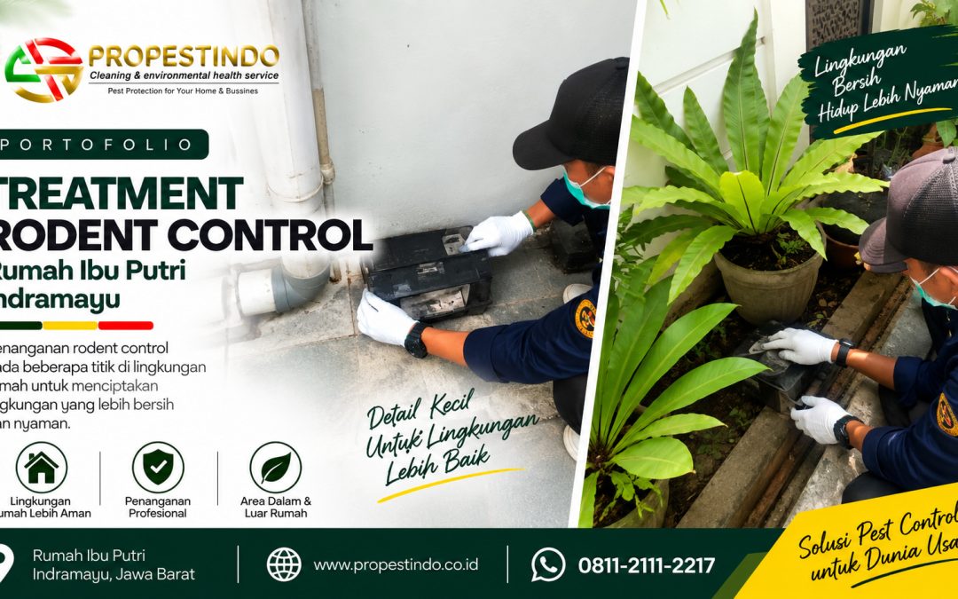 Treatment Rodent Control Rumah Ibu Putri Indramayu