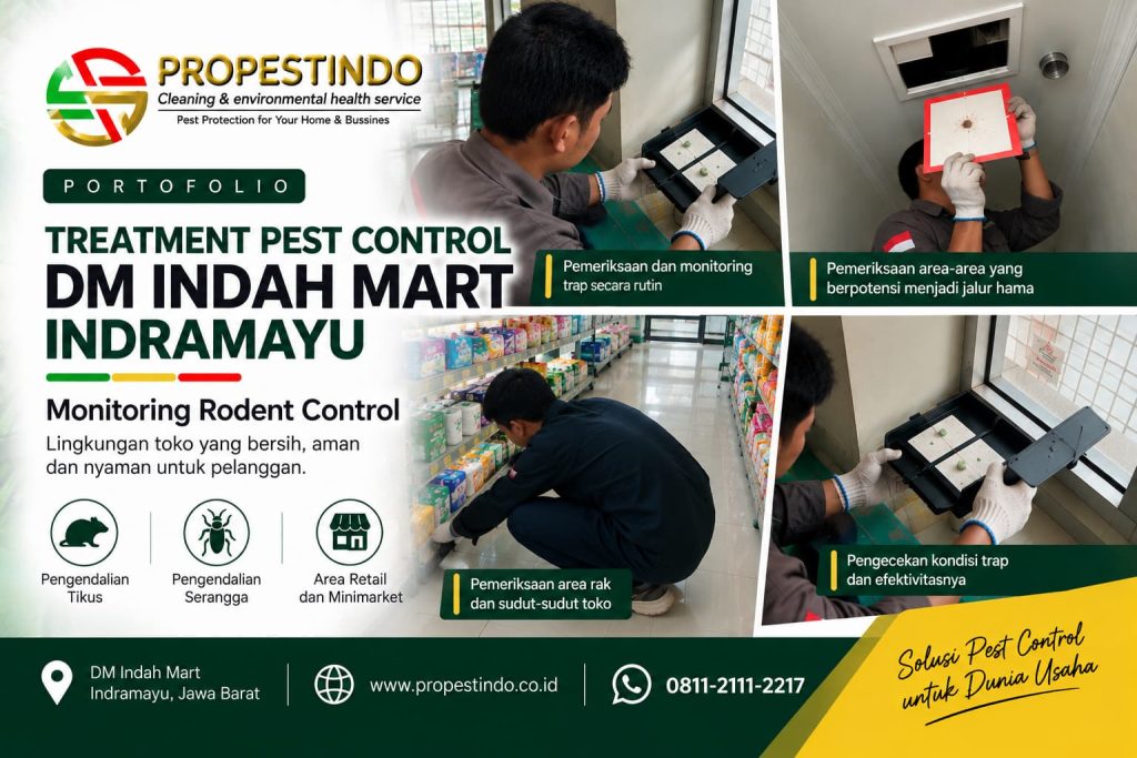 Treatment pest control DM Indah Mart Indramayu oleh tim Propestindo