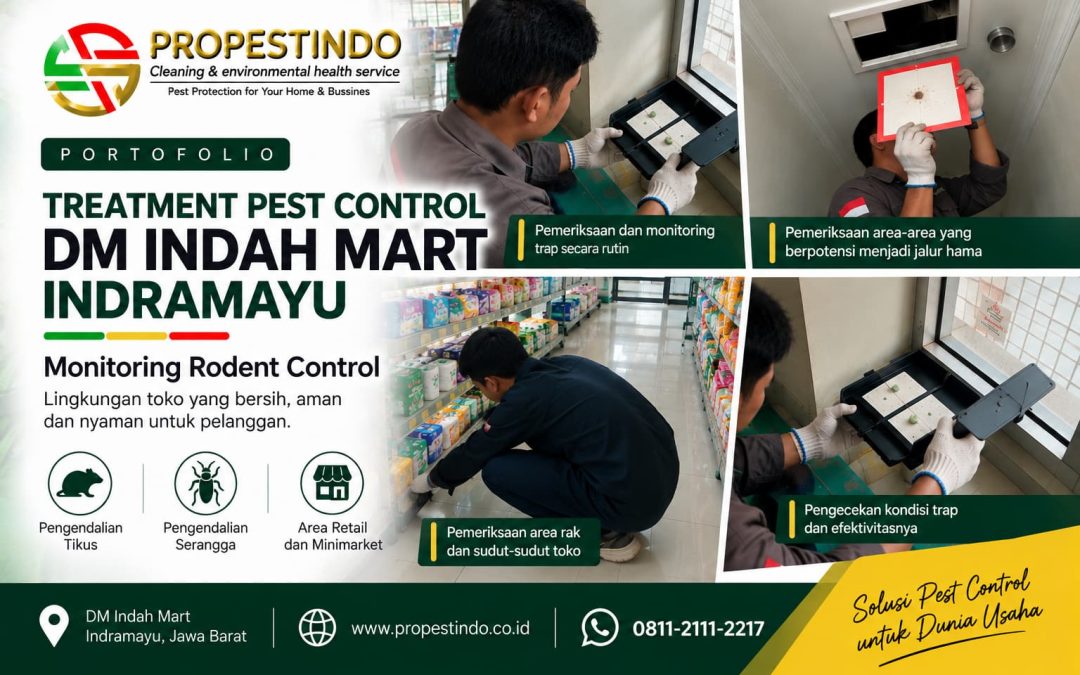 Treatment Pest Control DM Indah Mart Indramayu: Monitoring Rodent Control