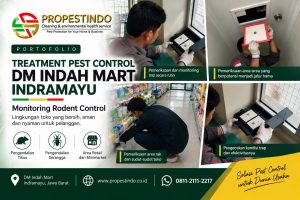 Treatment pest control DM Indah Mart Indramayu oleh tim Propestindo