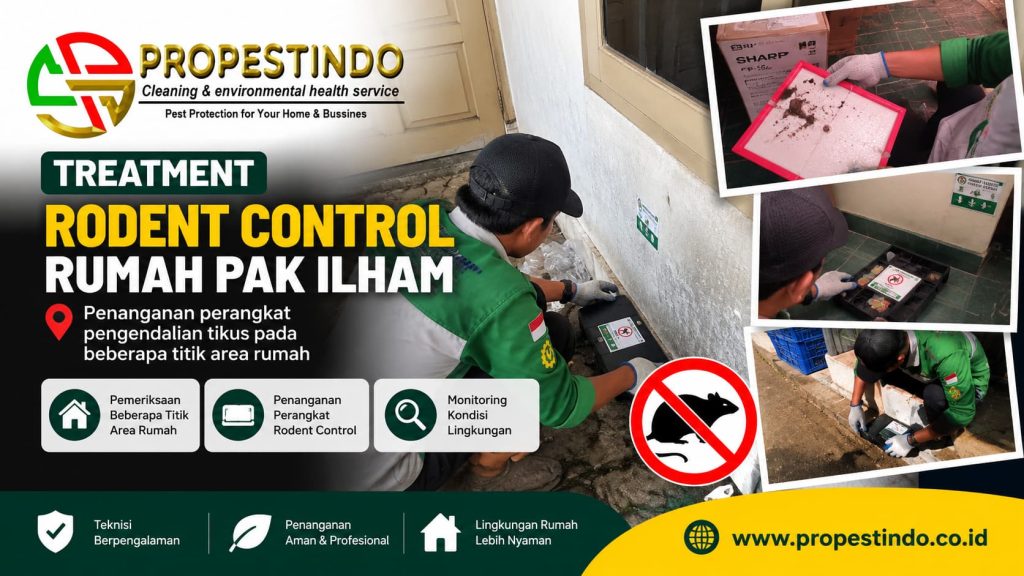 Treatment rodent control rumah Pak Ilham oleh tim Propestindo