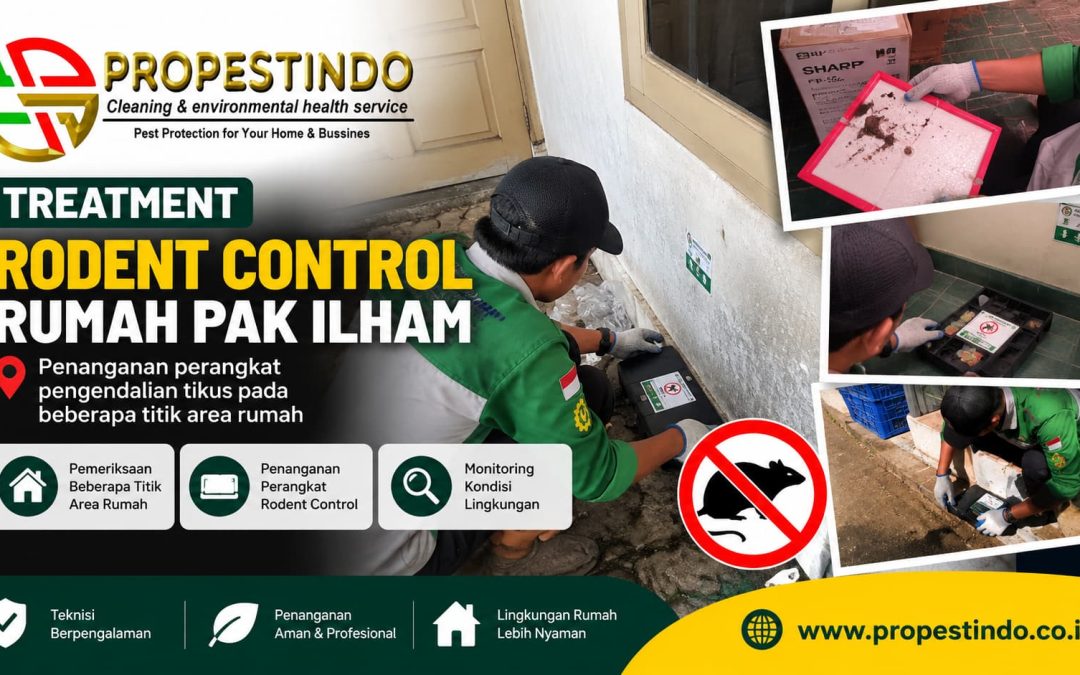 Treatment Pest Control Rumah Pak Ilham: Rodent Control