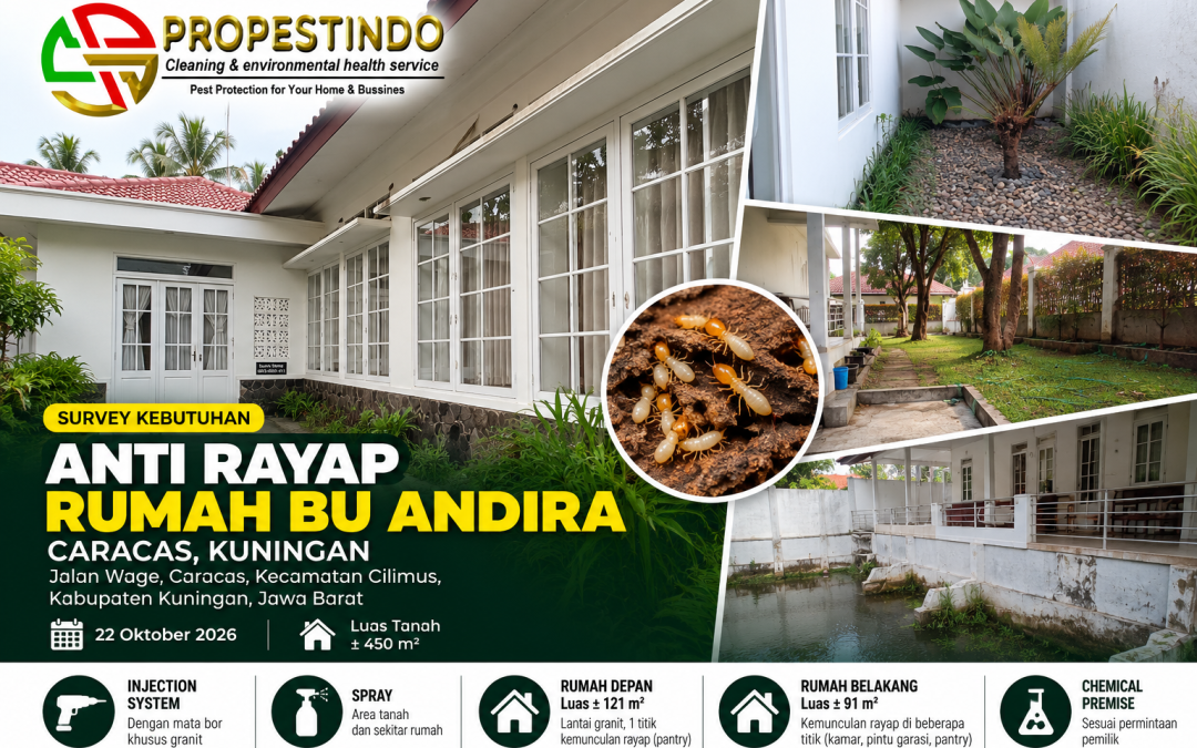 Survey Kebutuhan Anti Rayap Rumah Bu Andira di Caracas, Kuningan