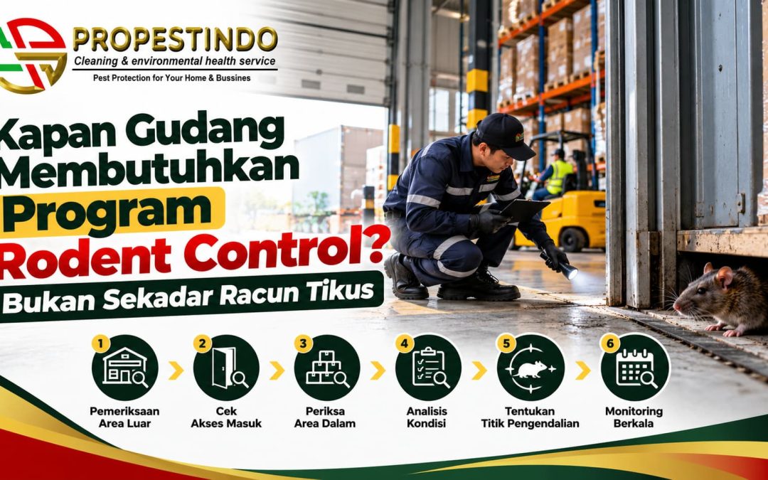 Kapan Gudang Membutuhkan Program Rodent Control, Bukan Sekadar Racun Tikus?