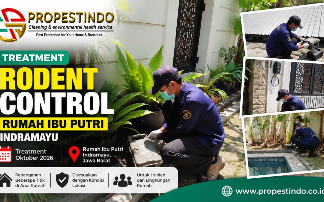 Treatment Rodent Control Rumah Ibu Putri Indramayu