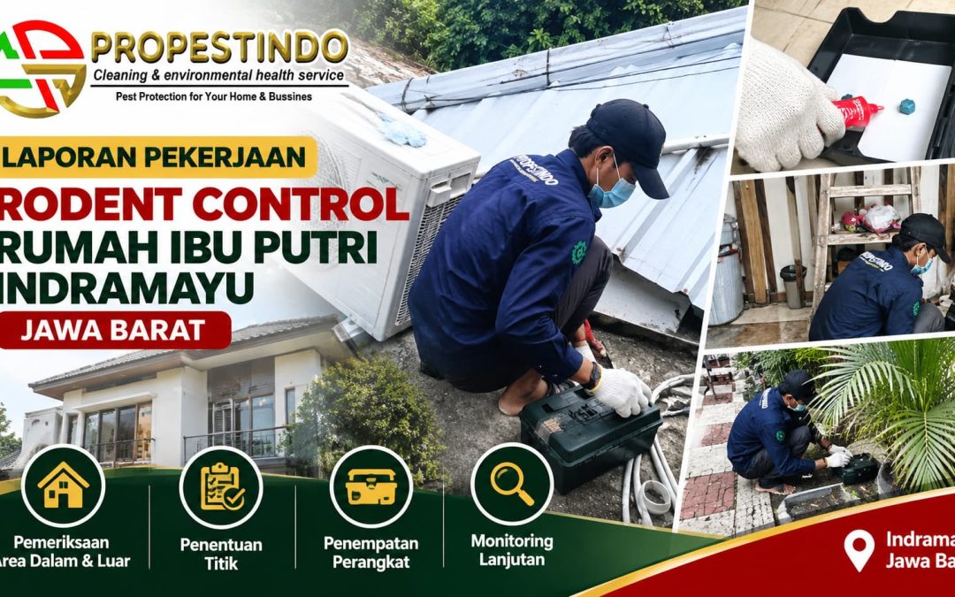 Laporan Pekerjaan Rodent Control Rumah Ibu Putri Indramayu Jawa Barat