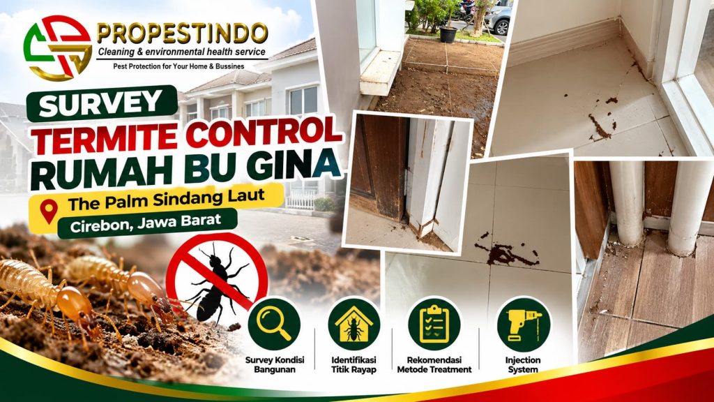 Survey termite control rumah Bu Gina di The Palm Sindang Laut oleh Propestindo