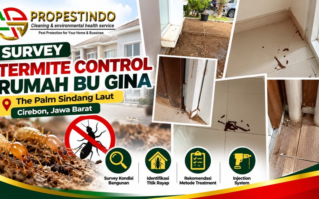 Survey Termite Control Rumah Bu Gina di The Palm Sindang Laut Cirebon