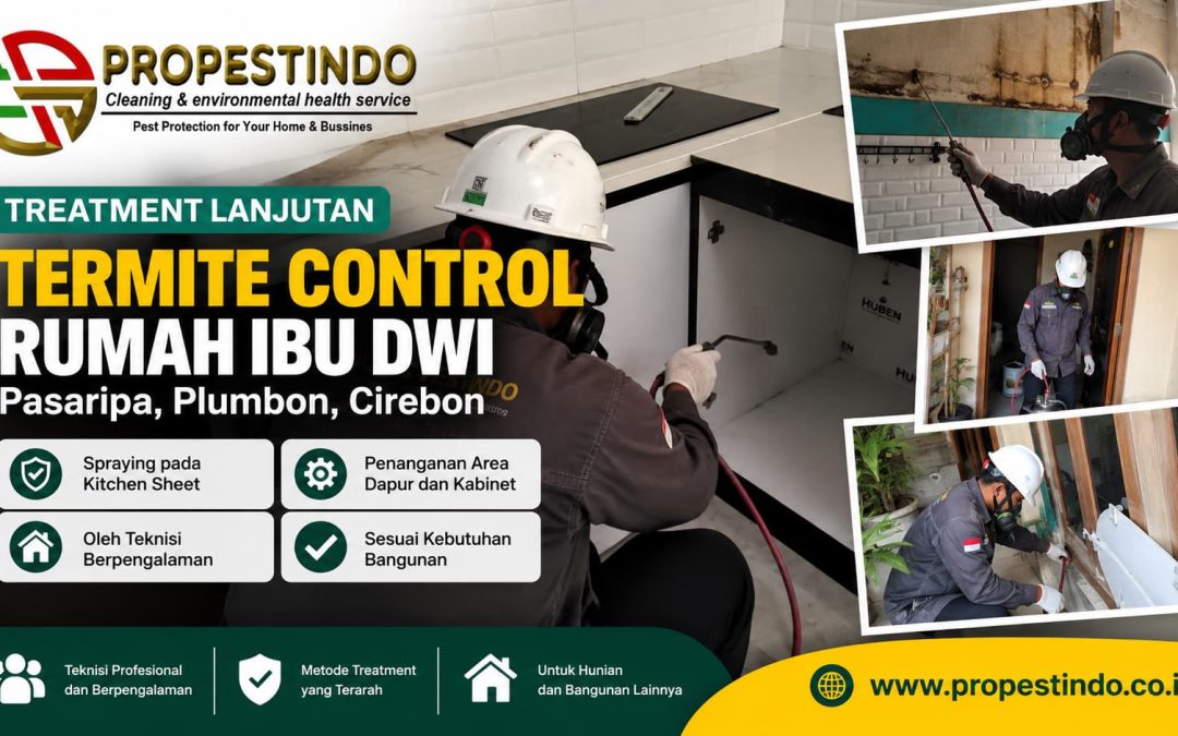Treatment Termite control Ibu Dwi, Plumbon Cirebon