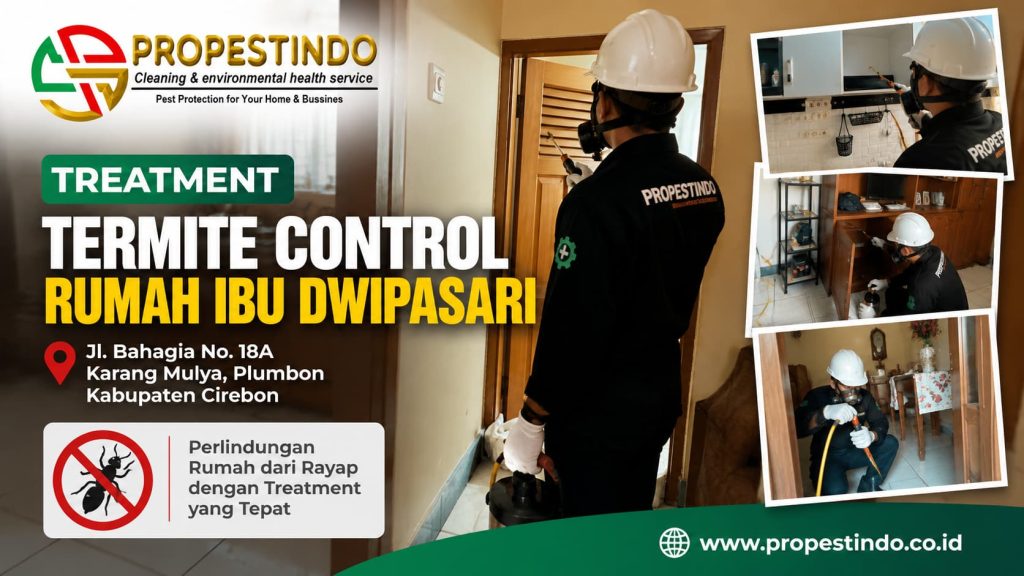 Termite control rumah Ibu Dwipasari di Plumbon Kabupaten Cirebon oleh tim Propestindo