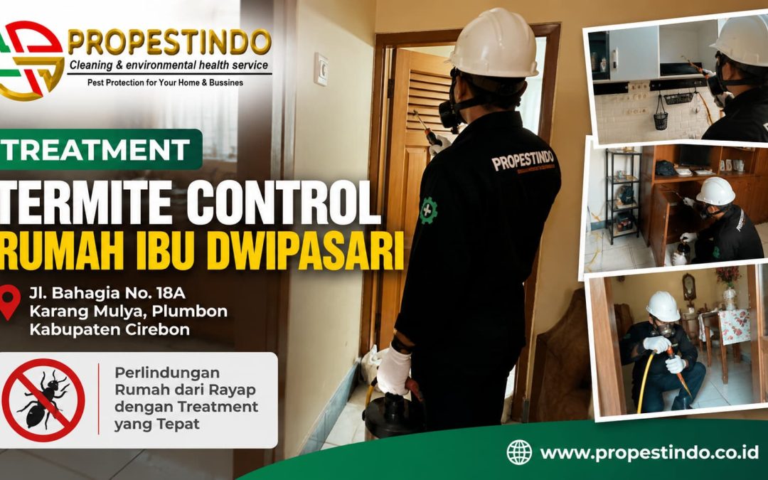 Termite Control Rumah Ibu Dwipasari, Plumbon Kabupaten Cirebon