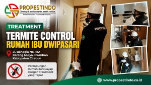 Termite control rumah Ibu Dwipasari di Plumbon Kabupaten Cirebon oleh tim Propestindo