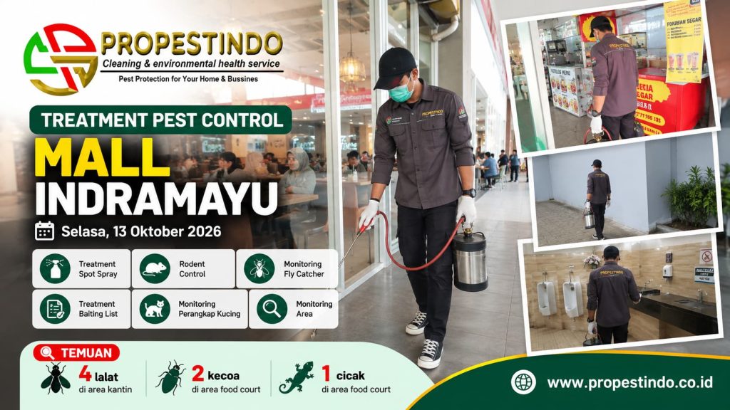Treatment pest control Mall Indramayu oleh tim Propestindo