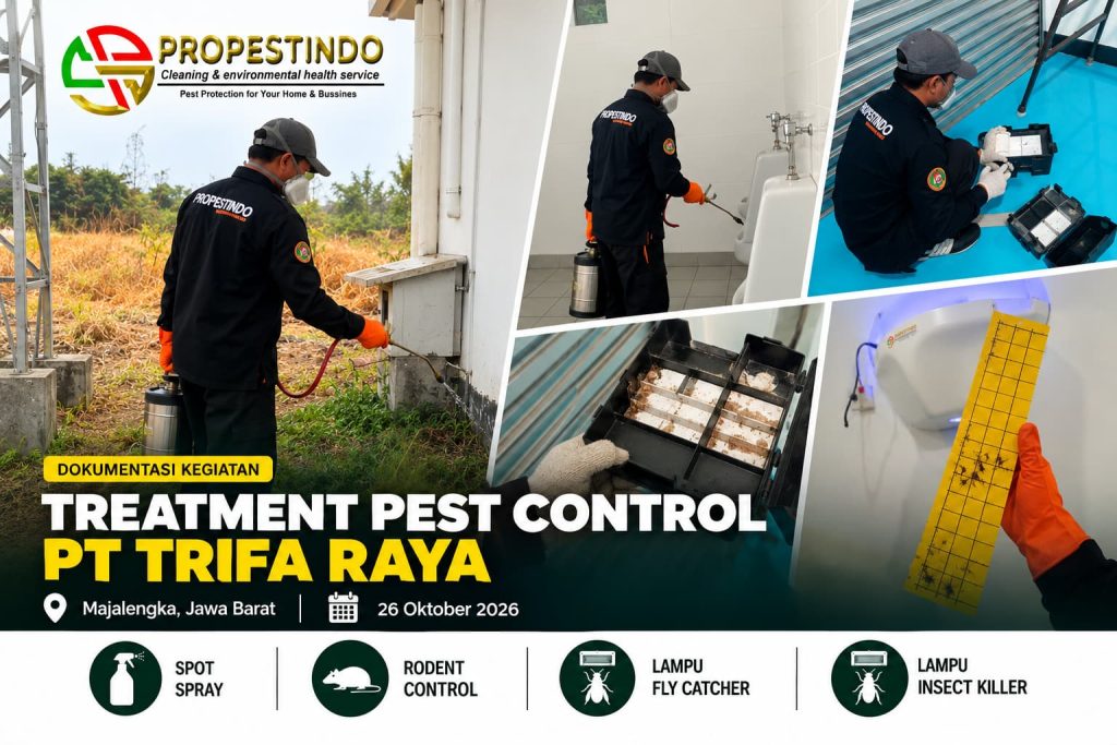 Treatment pest control PT Trifa Raya Majalengka oleh tim Propestindo