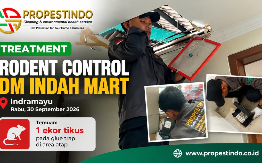 Treatment Rodent Control DM Indah Mart Indramayu