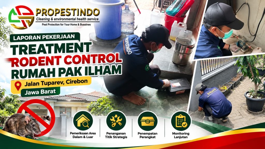 Treatment rodent control rumah Pak Ilham di Jalan Tuparev Cirebon oleh tim Propestindo