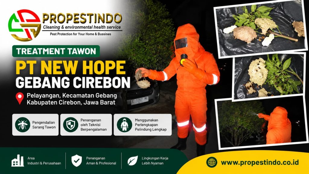 Treatment tawon PT New Hope Gebang Cirebon oleh tim Propestindo