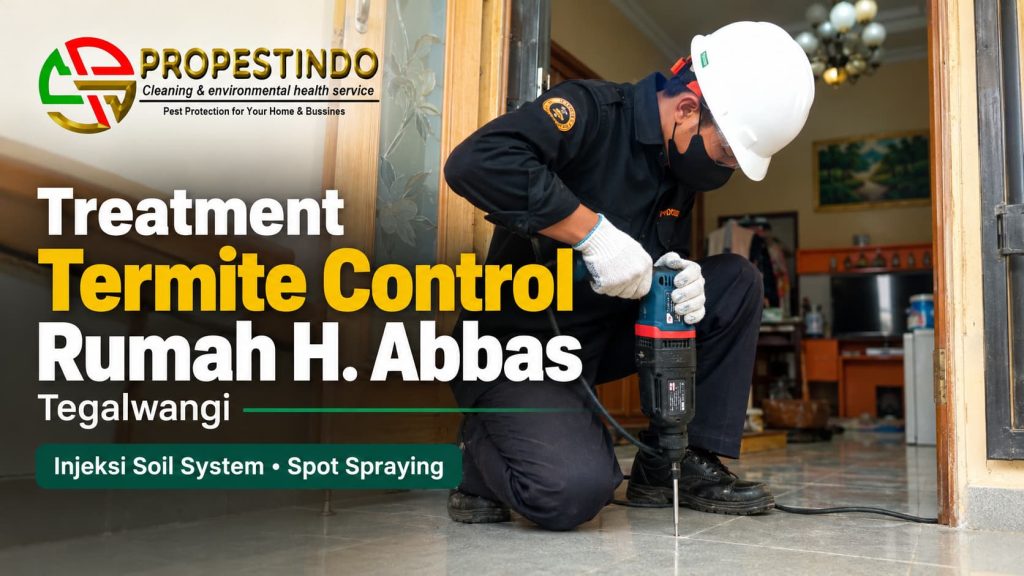Treatment termite control rumah H. Abbas Tegalwangi oleh tim Propestindo